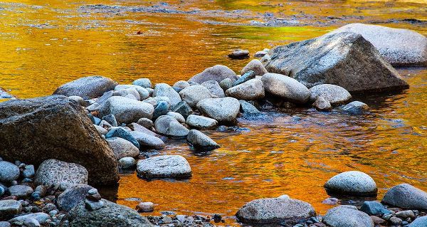 Gulin, Sylvia 아티스트의 USA-New Hampshire-White Mountains National Forest-Swift River-Golden Fall colors reflected in rocky작품입니다.